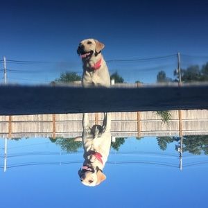 Meet your Posher, Julia